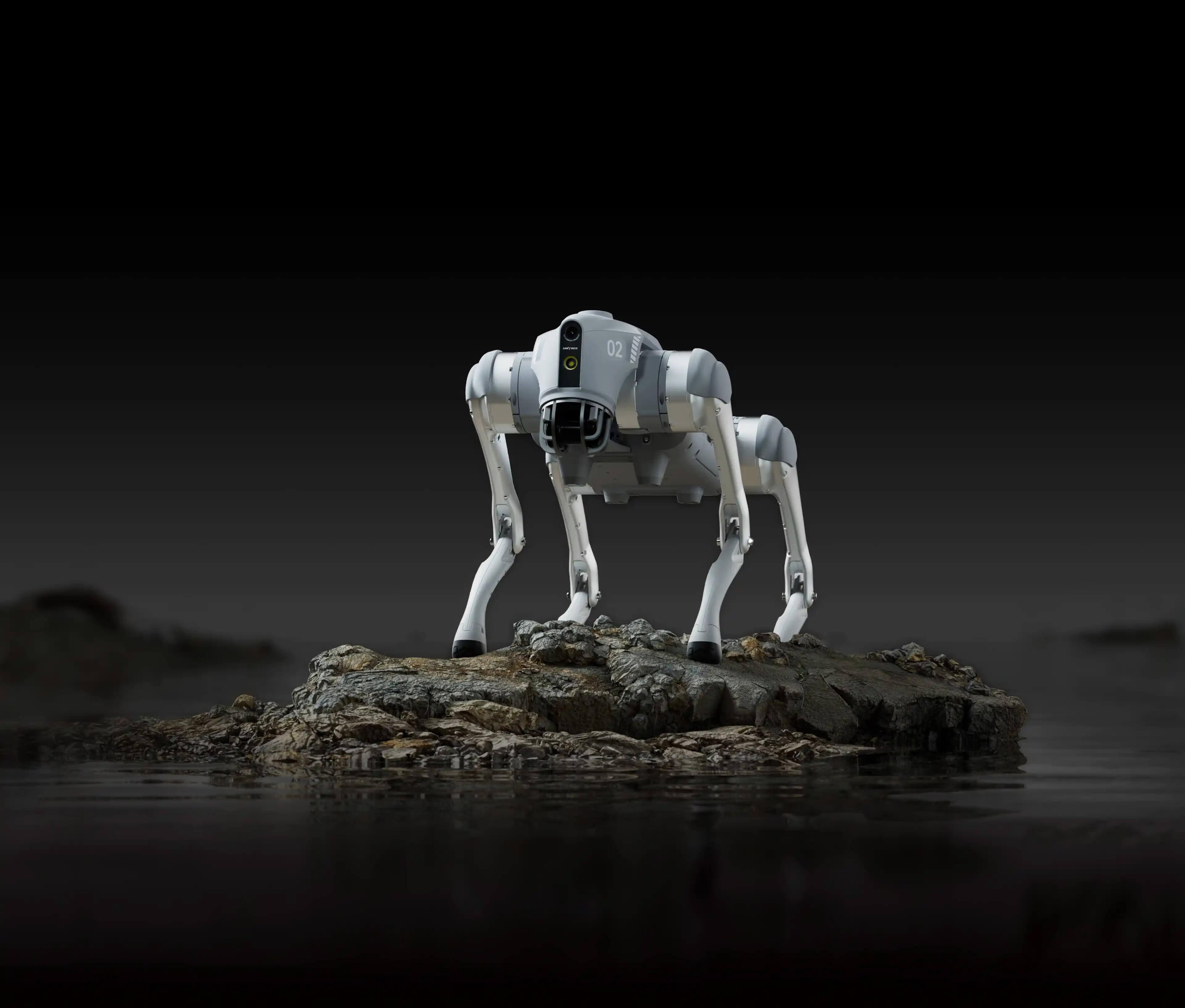 Unitree Go2 Pro standing on rock surrounded by water